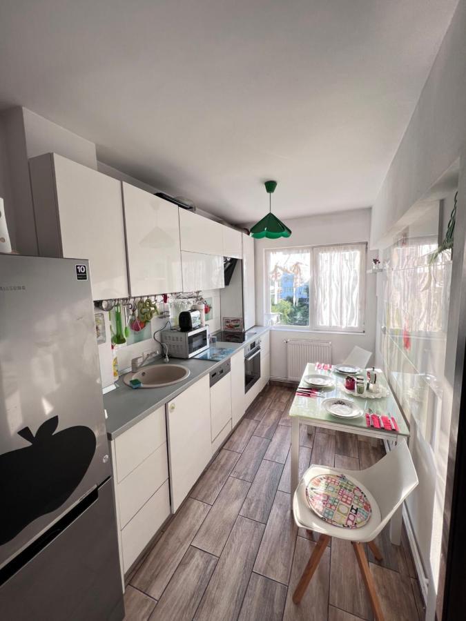 3 Rooms Apartment Palace View 이아시 외부 사진