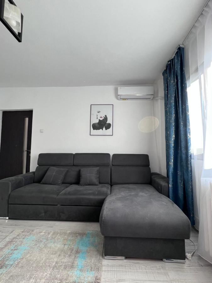 3 Rooms Apartment Palace View 이아시 외부 사진