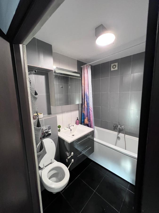 3 Rooms Apartment Palace View 이아시 외부 사진